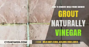 Natural Mold Removal: Vinegar Tips for Shower Grout Cleaning