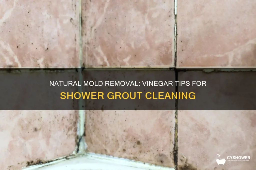 how to remove mold from shower grout naturally vinegar