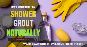 Natural Ways to Remove Mold from Shower Grout Easily