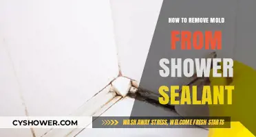 Effective Ways to Remove Mold from Shower Sealant Easily