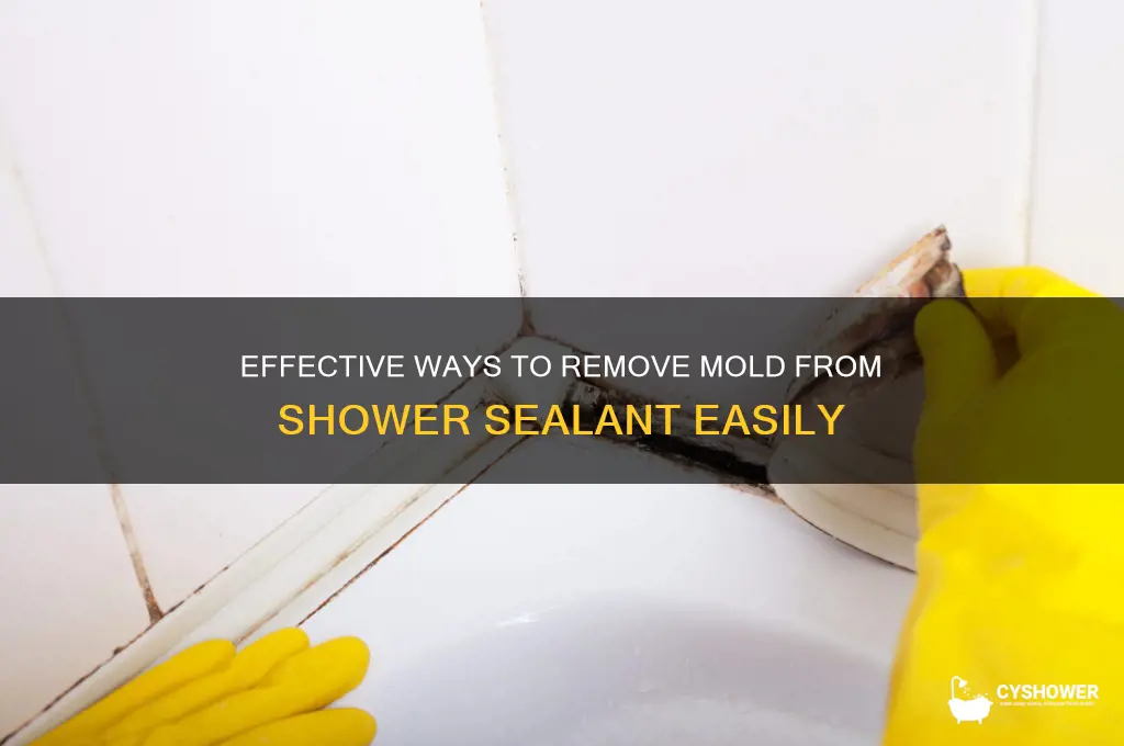 how to remove mold from shower sealant