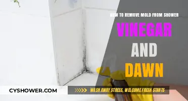 Effective Mold Removal: Using Vinegar and Dawn in Your Shower