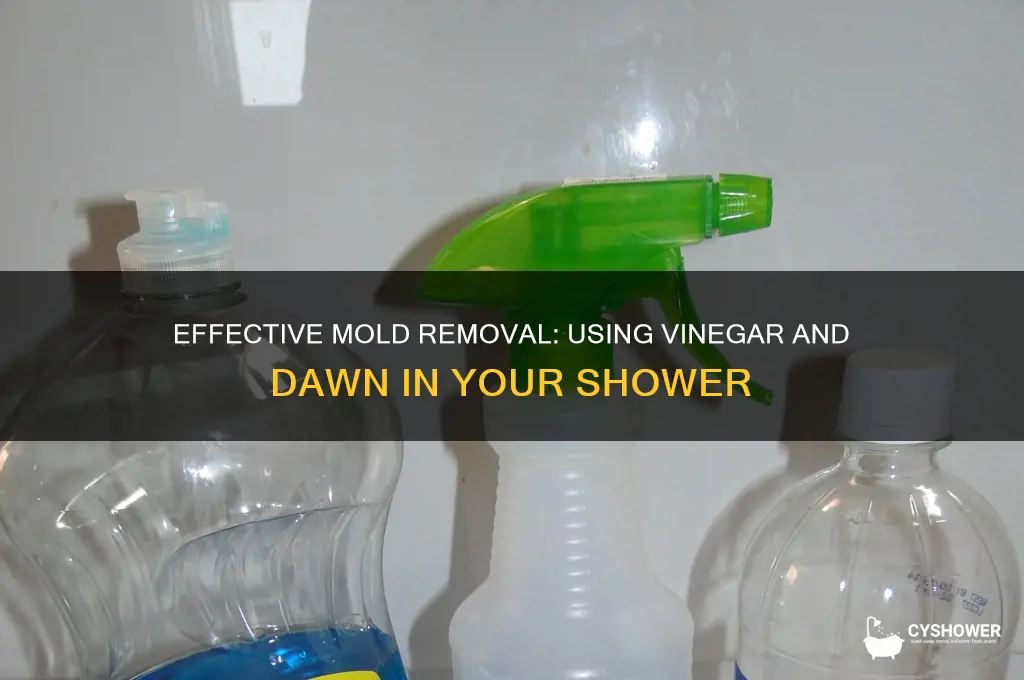 how to remove mold from shower vinegar and dawn