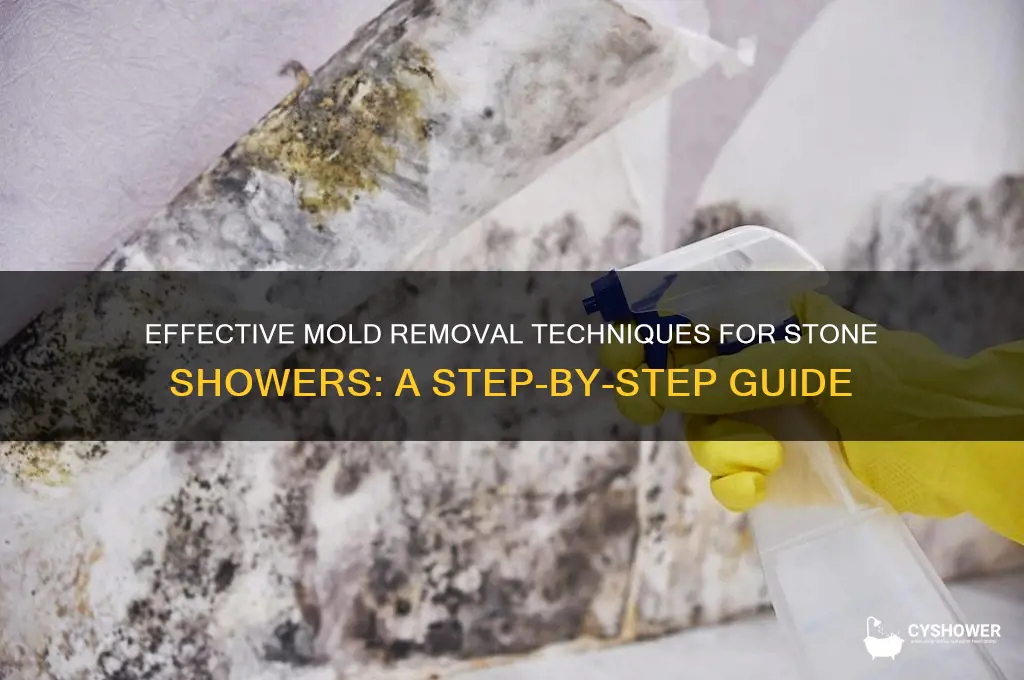 how to remove mold from stone shower