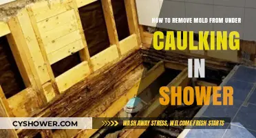 Effective Tips to Remove Mold Under Shower Caulking Easily
