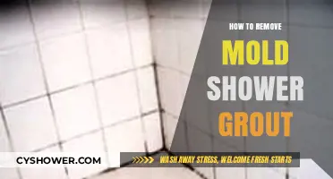 Effective Ways to Remove Mold from Shower Grout Easily