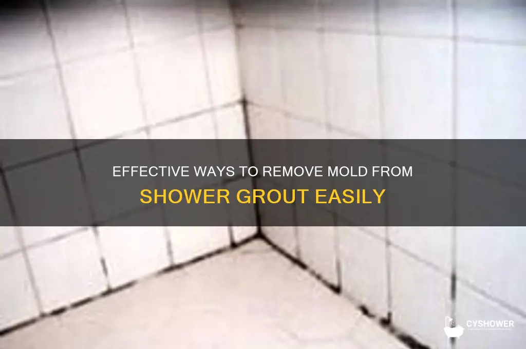 how to remove mold shower grout