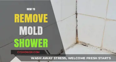 Effective Ways to Remove Mold from Your Shower Quickly and Safely
