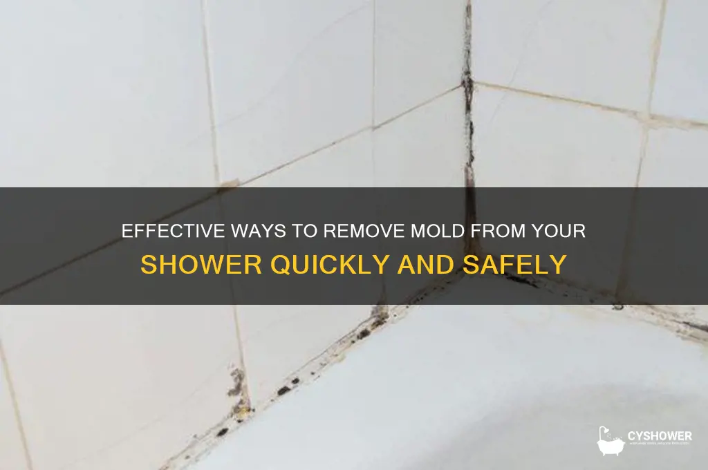 how to remove mold shower