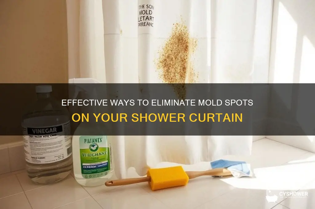 how to remove mold spots on shower curtain