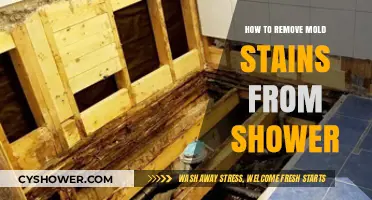 Effective Tips to Remove Mold Stains from Your Shower Easily
