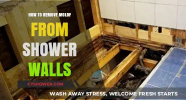 Effective Tips to Remove Mold from Shower Walls Easily