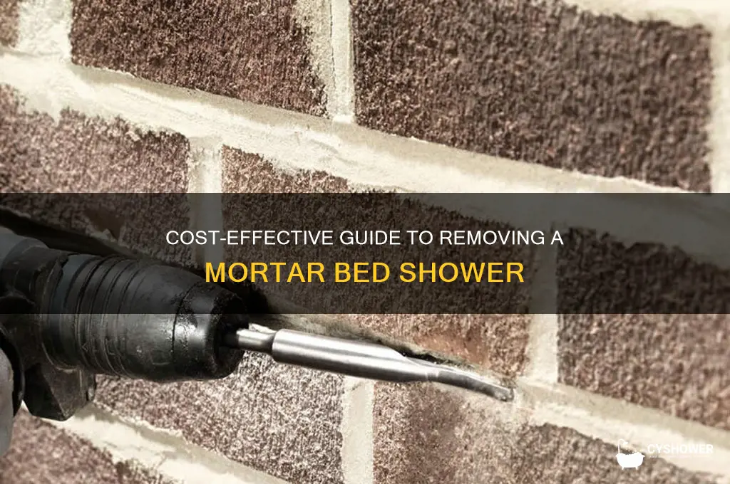how to remove mortar bed shower cost