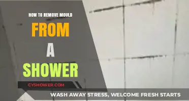 Effective Shower Mould Removal: Simple Steps for a Clean Bathroom