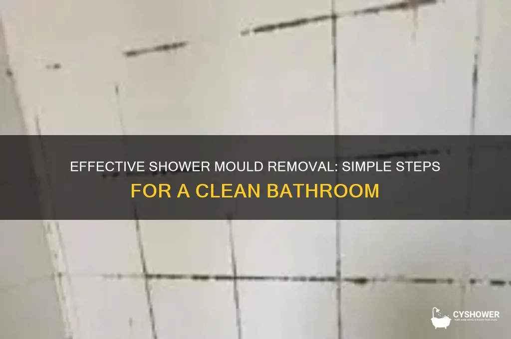 how to remove mould from a shower