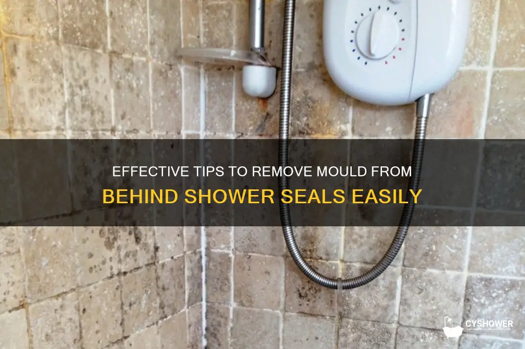 how to remove mould from behind shower seals