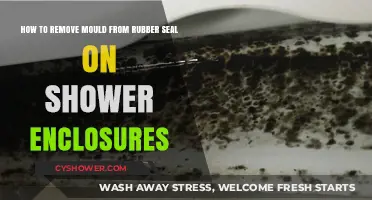 Effective Tips to Remove Mould from Shower Enclosure Rubber Seals