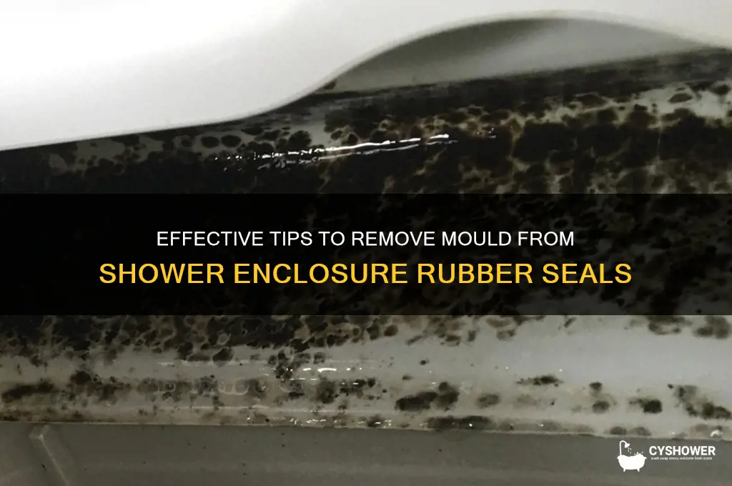 how to remove mould from rubber seal on shower enclosures
