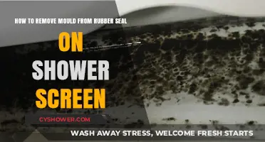 Effective Tips to Remove Mould from Shower Screen Rubber Seals