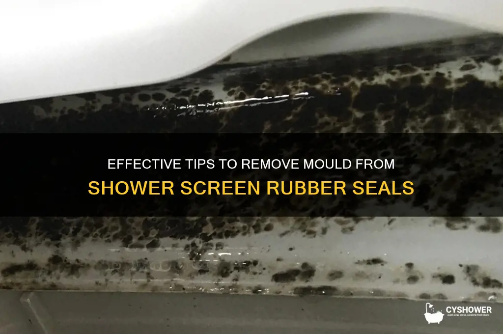how to remove mould from rubber seal on shower screen