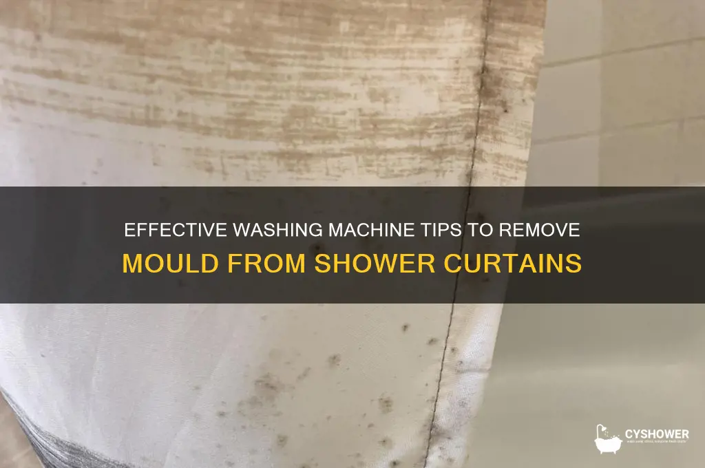 how to remove mould from shower curtain in washing machine