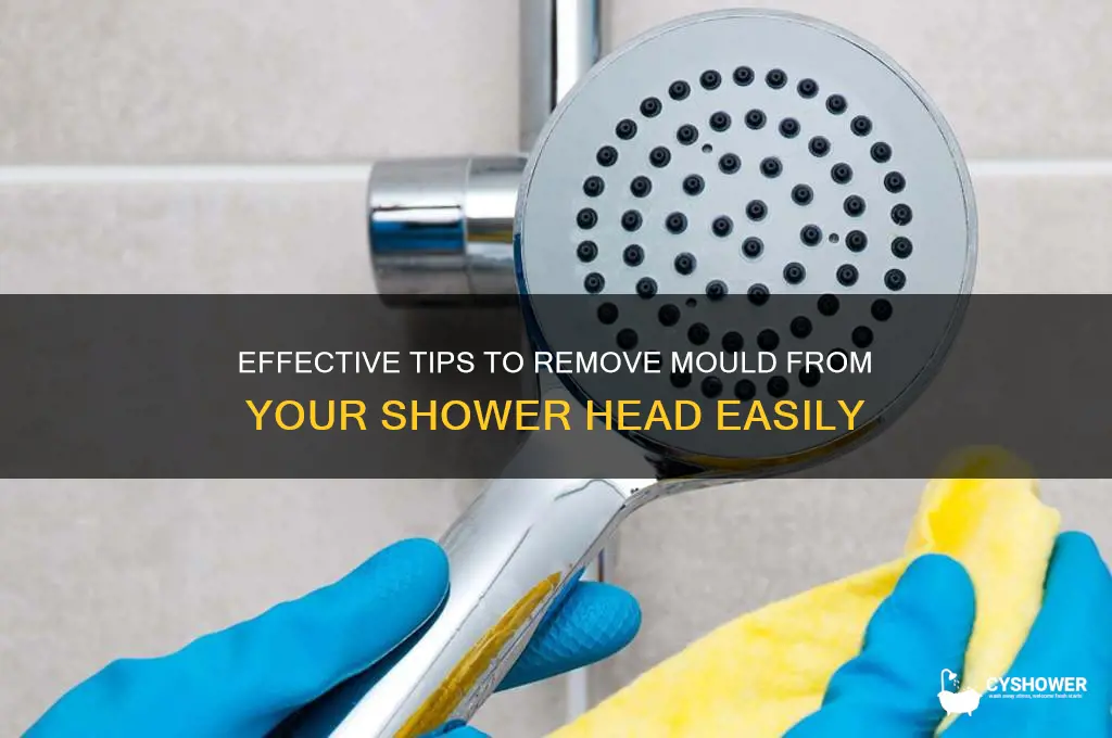 how to remove mould from shower head