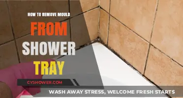 Effective Tips to Remove Mould from Your Shower Tray Easily