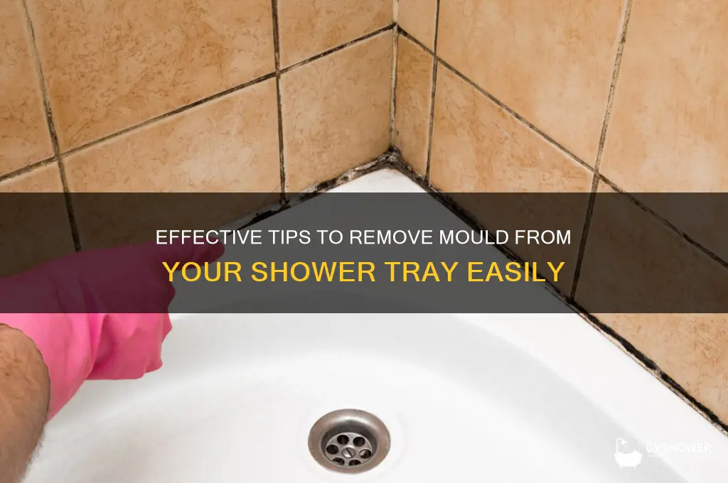 how to remove mould from shower tray