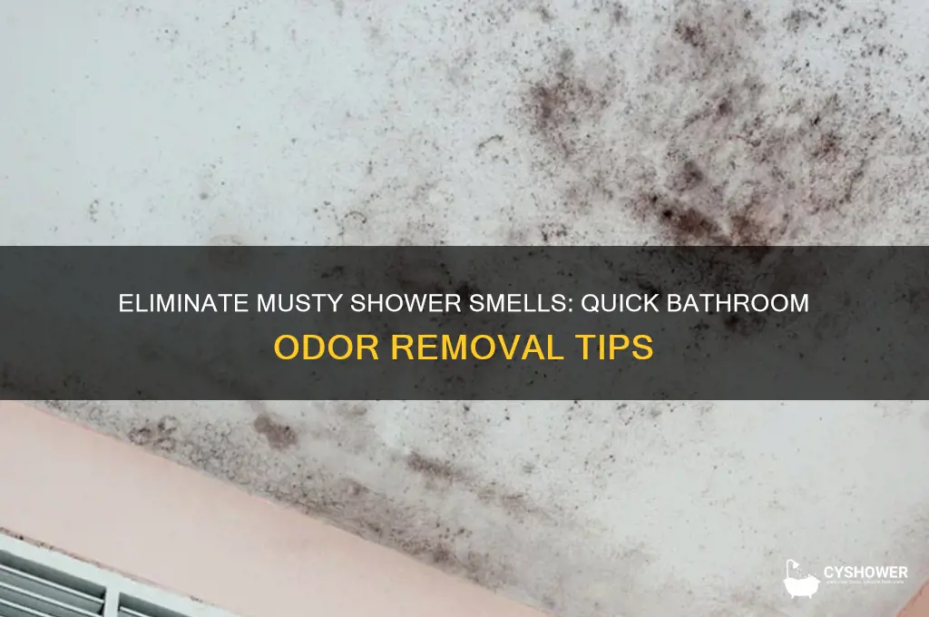 how to remove musty smell from bathroom shower