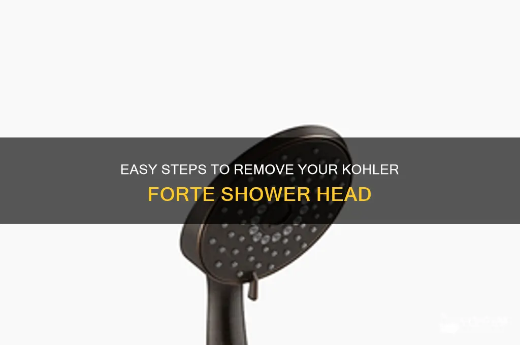 how to remove my kohlar fonte shower head