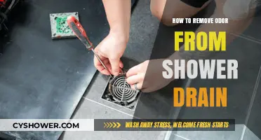 Effective Ways to Eliminate Stubborn Shower Drain Odors Fast