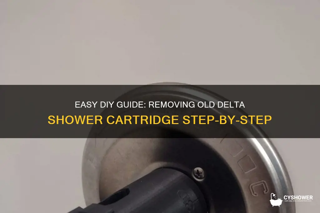 how to remove old delta shower cartridge