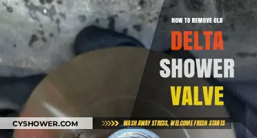 Step-by-Step Guide to Removing an Old Delta Shower Valve