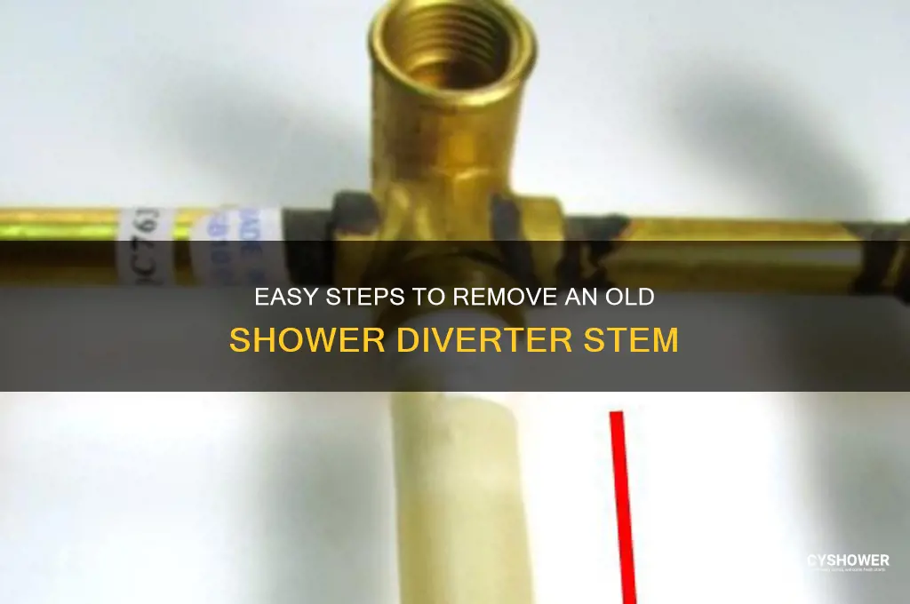 how to remove old shower diverter stem