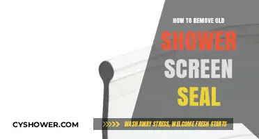 Easy Steps to Remove and Replace Old Shower Screen Seals