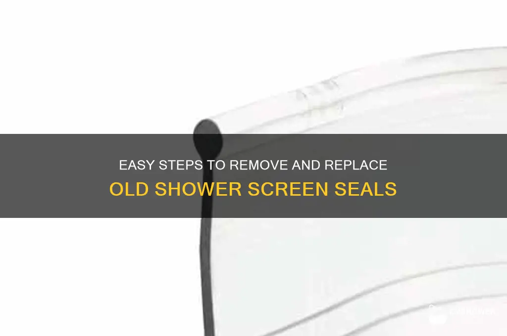 how to remove old shower screen seal