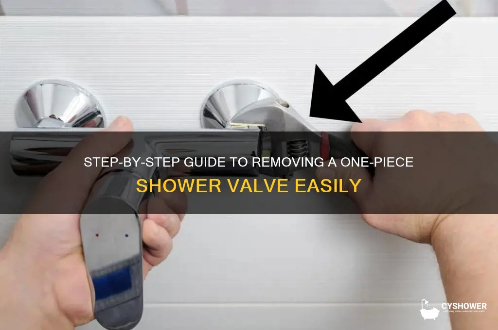 how to remove one piece shower valve