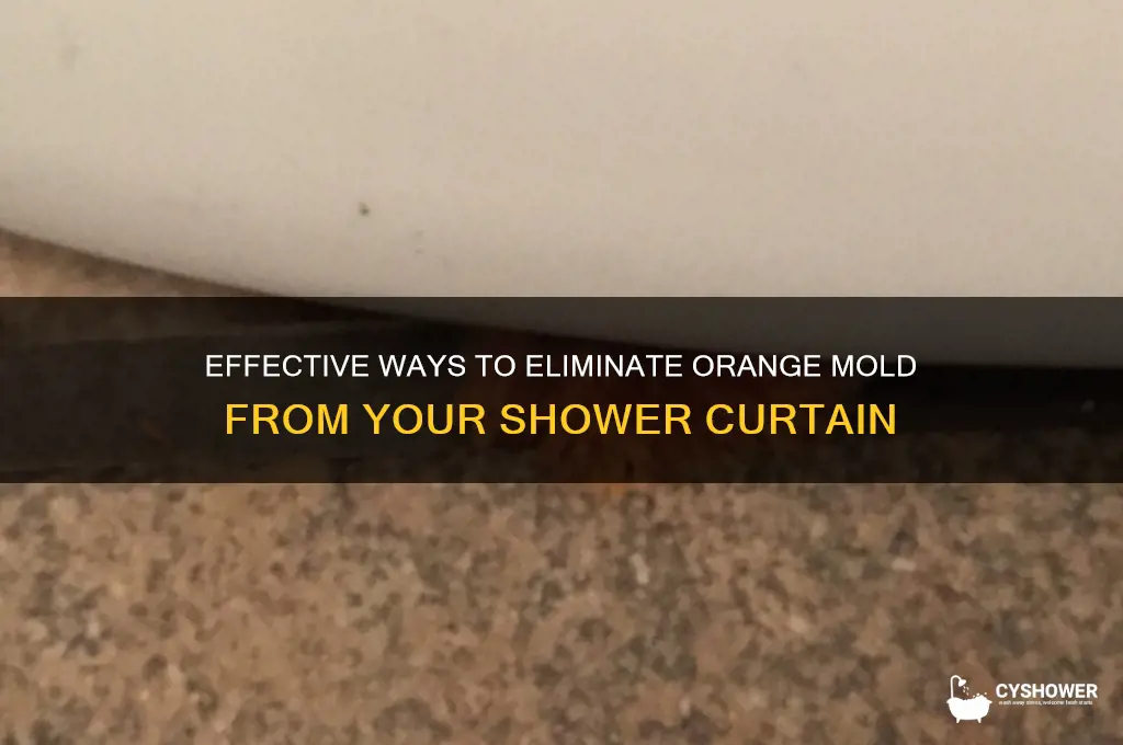 how to remove orange mold from shower curtain