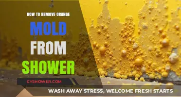 Effective Ways to Eliminate Orange Mold in Your Shower Quickly