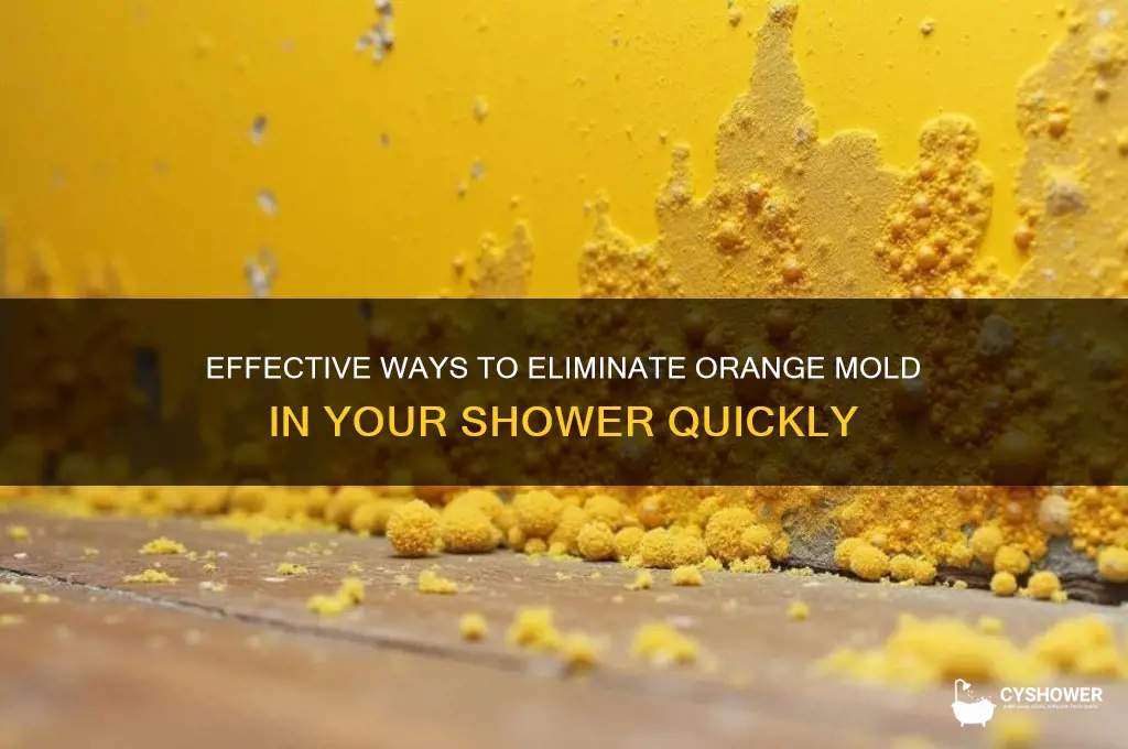 how to remove orange mold from shower