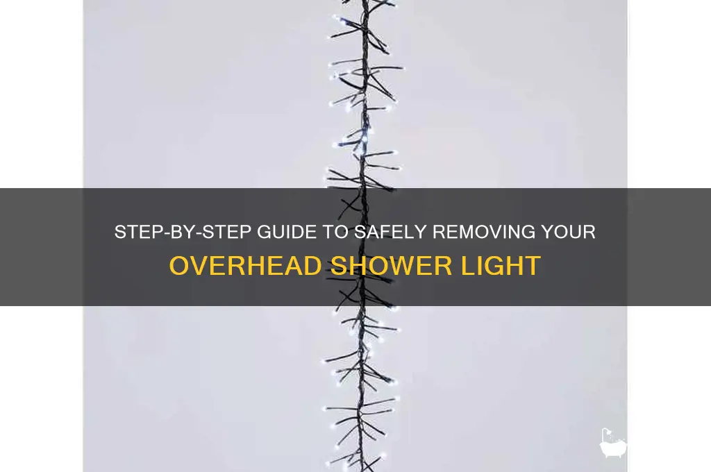 how to remove overhead shower light