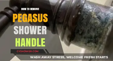 Easy Steps to Remove Your Pegasus Shower Handle: A DIY Guide