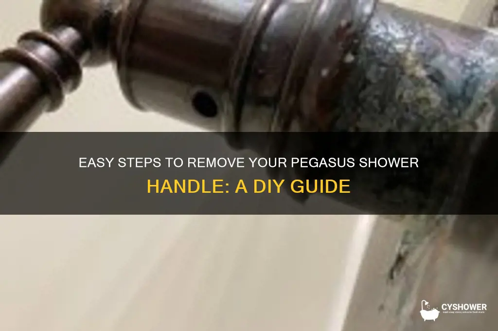 how to remove pegasus shower handle