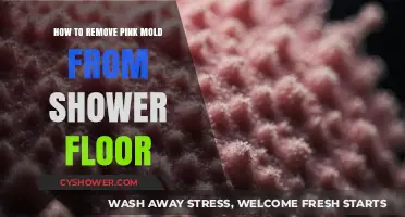 Effective Ways to Eliminate Pink Mold from Your Shower Floor