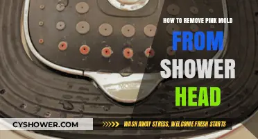 Effective Ways to Eliminate Pink Mold from Your Shower Head