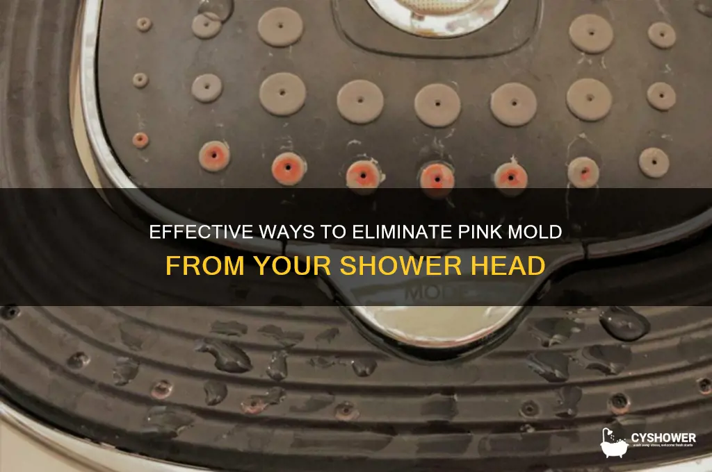 how to remove pink mold from shower head
