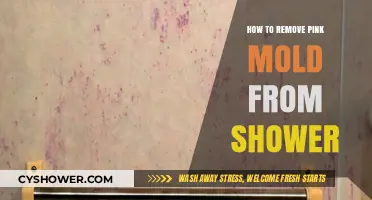 Effective Ways to Eliminate Pink Mold from Your Shower Quickly