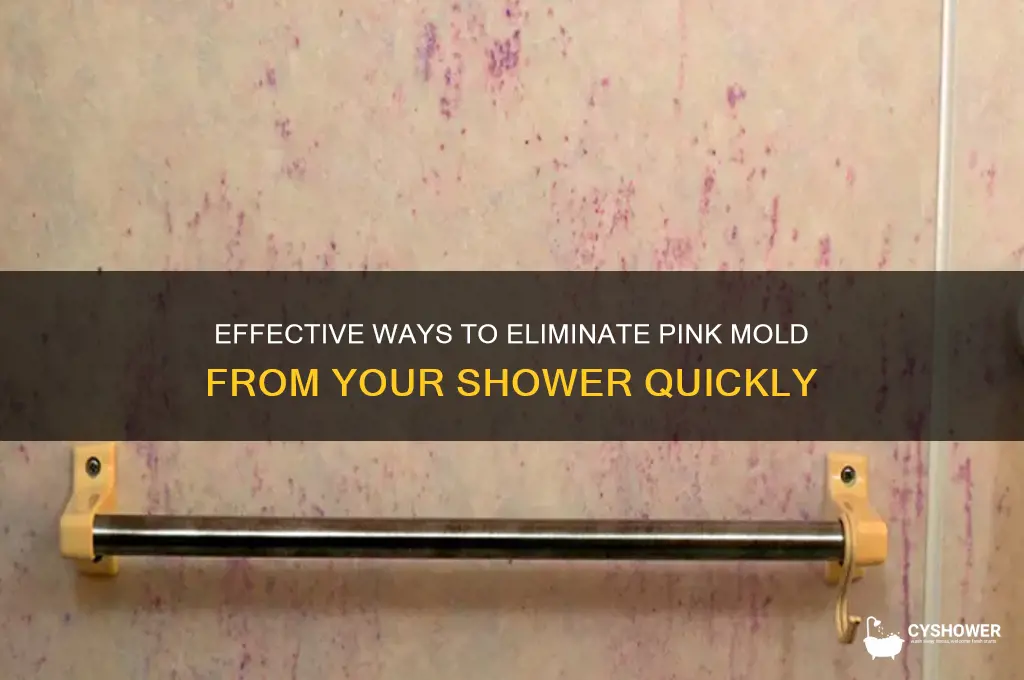 how to remove pink mold from shower