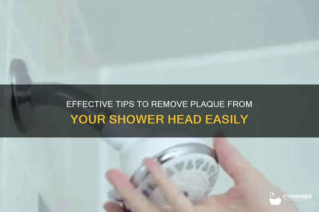 how to remove plaque from shower head
