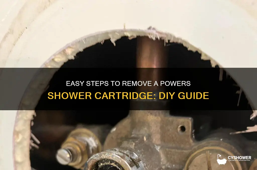 how to remove powers shower cartridge